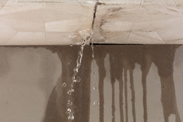 Professional Structural Drying technician working in Kingston, MO